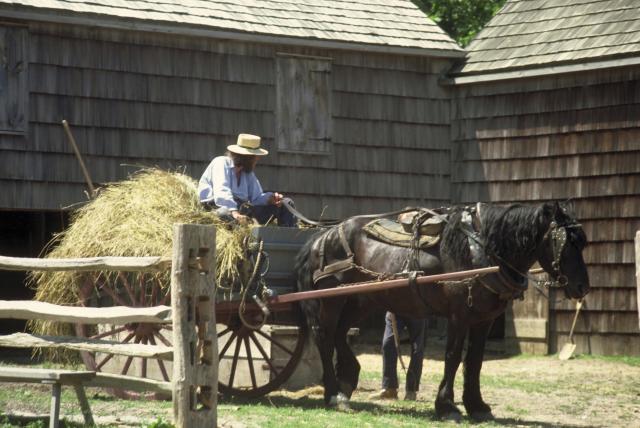 Nauènici otkrili zašto Amiši žive 10 godina duže od proseka
